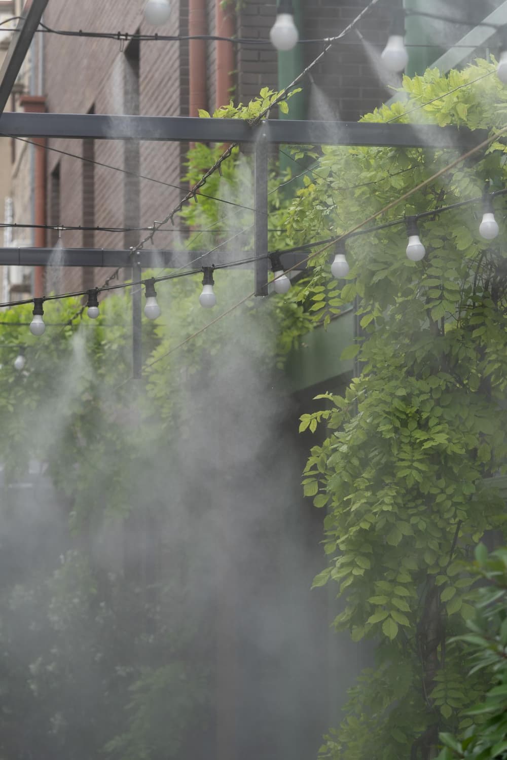 Misting Lines