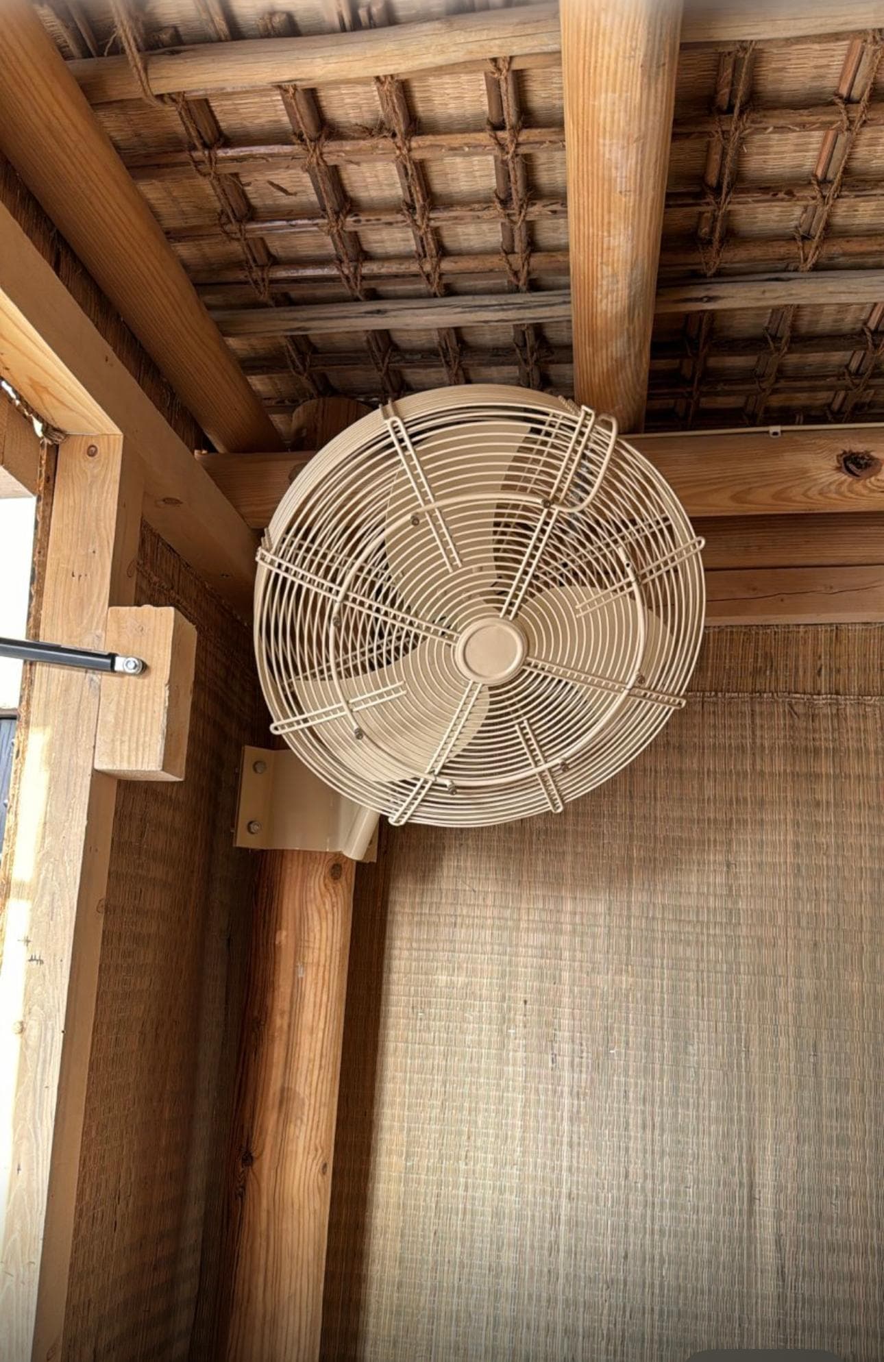 Wall Mounted Mist Fan
